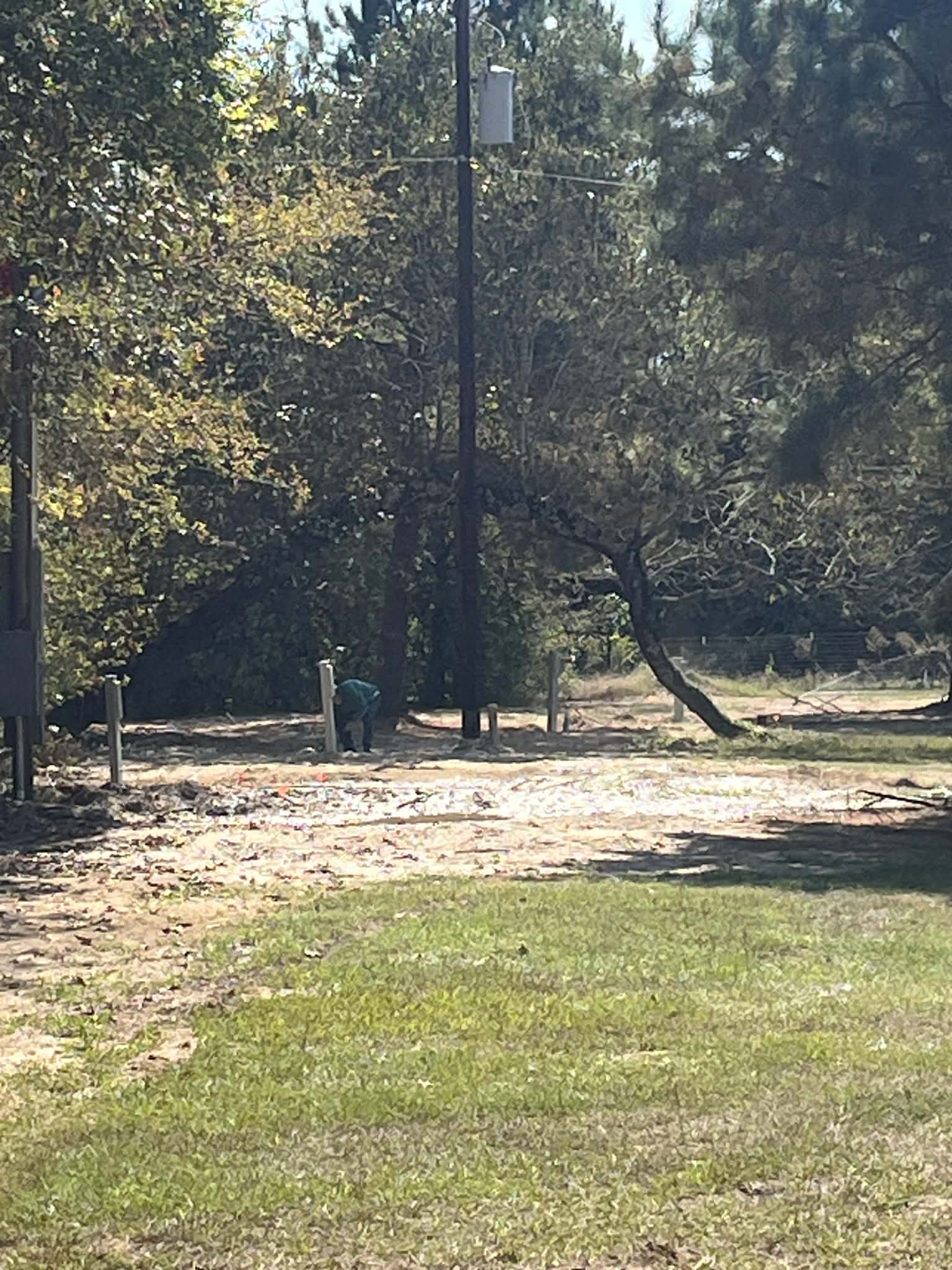 Person in green shirt bending near posts in a sunny, wooded clearing with grass.
